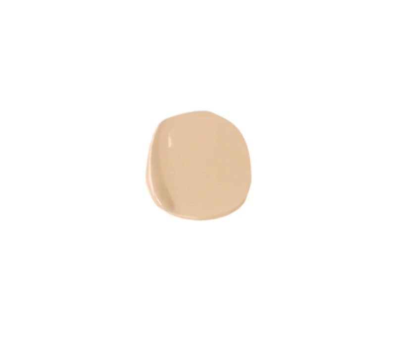 Samoa Skin Envy Matte Poreless Skin 12hr Wear Foundation - Image 4