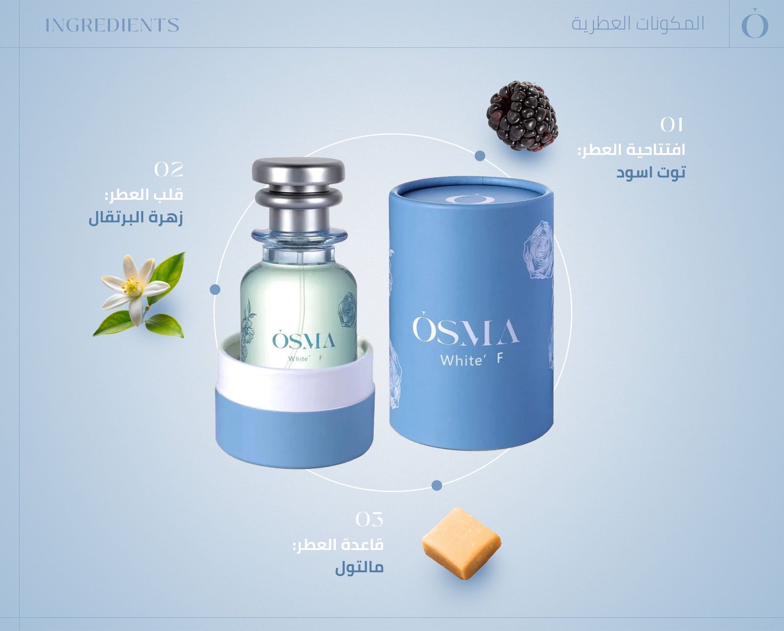 Osma Citrus Mood Collection - Image 3